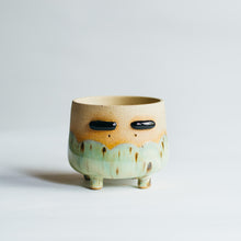 Load image into Gallery viewer, Little Dobby planter - rainforest