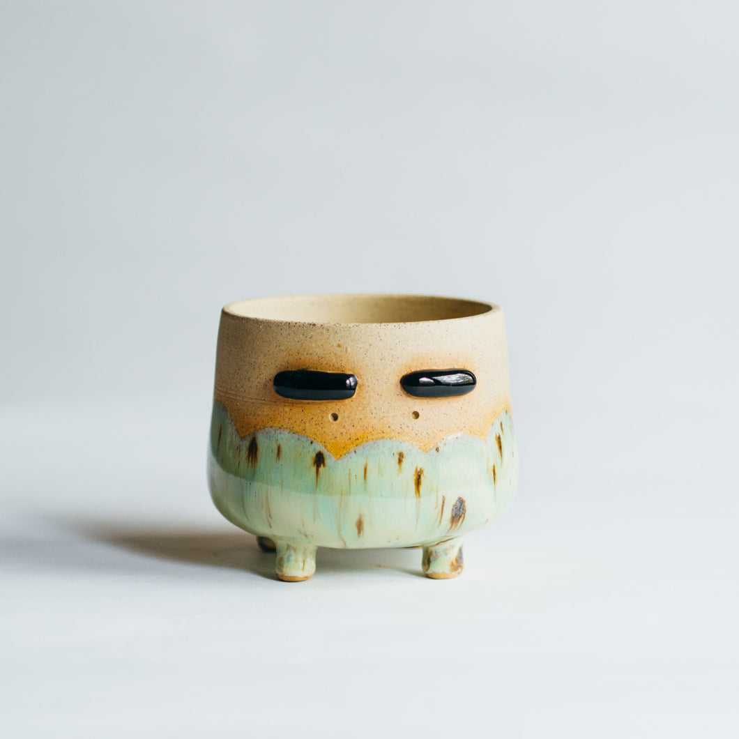 Little Dobby planter - rainforest