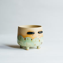 Load image into Gallery viewer, Little Dobby planter - rainforest