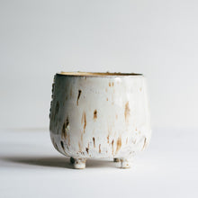 Load image into Gallery viewer, Dreamtime Planter - white river birch