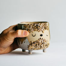 Load image into Gallery viewer, Dreamtime Planter - Autumn Oak