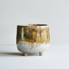 Load image into Gallery viewer, Dreamtime Planter - Autumn Oak