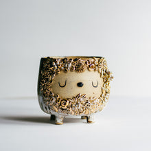 Load image into Gallery viewer, Dreamtime Planter - River moss 3